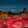 大山 紅葉祭り ライトアップ 2