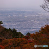 大山 紅葉 眺望