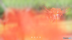 「秋が来るよ」