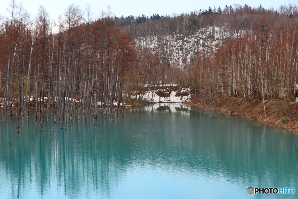 残雪と青い池