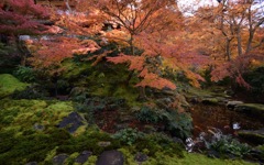 瑠璃光院