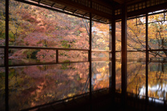 瑠璃光院