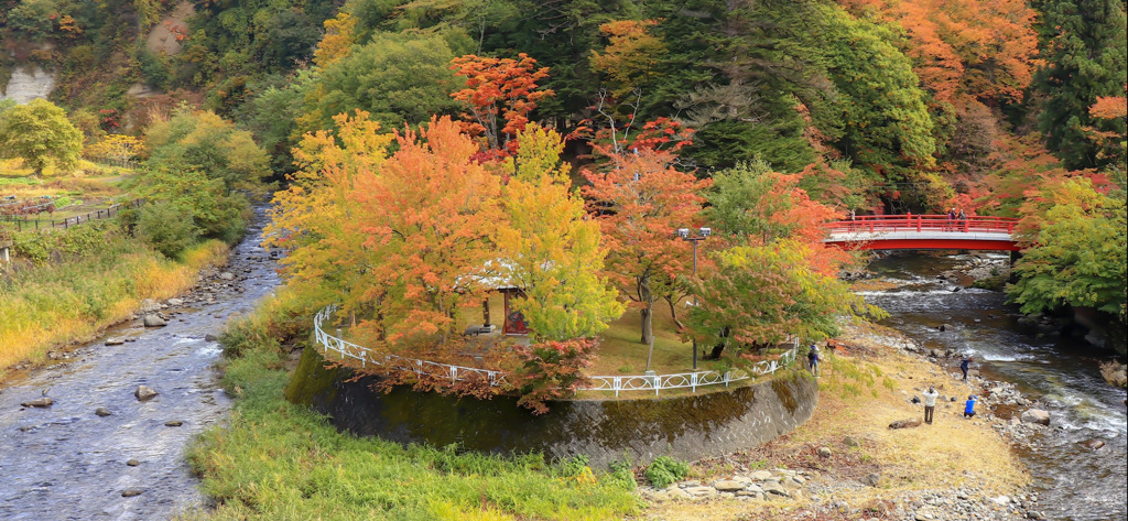 最後の紅葉