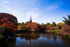 紅葉とリフレクション
