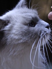 じーっ