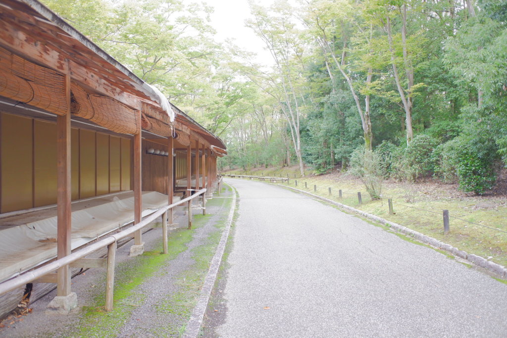 万博記念公園内にて