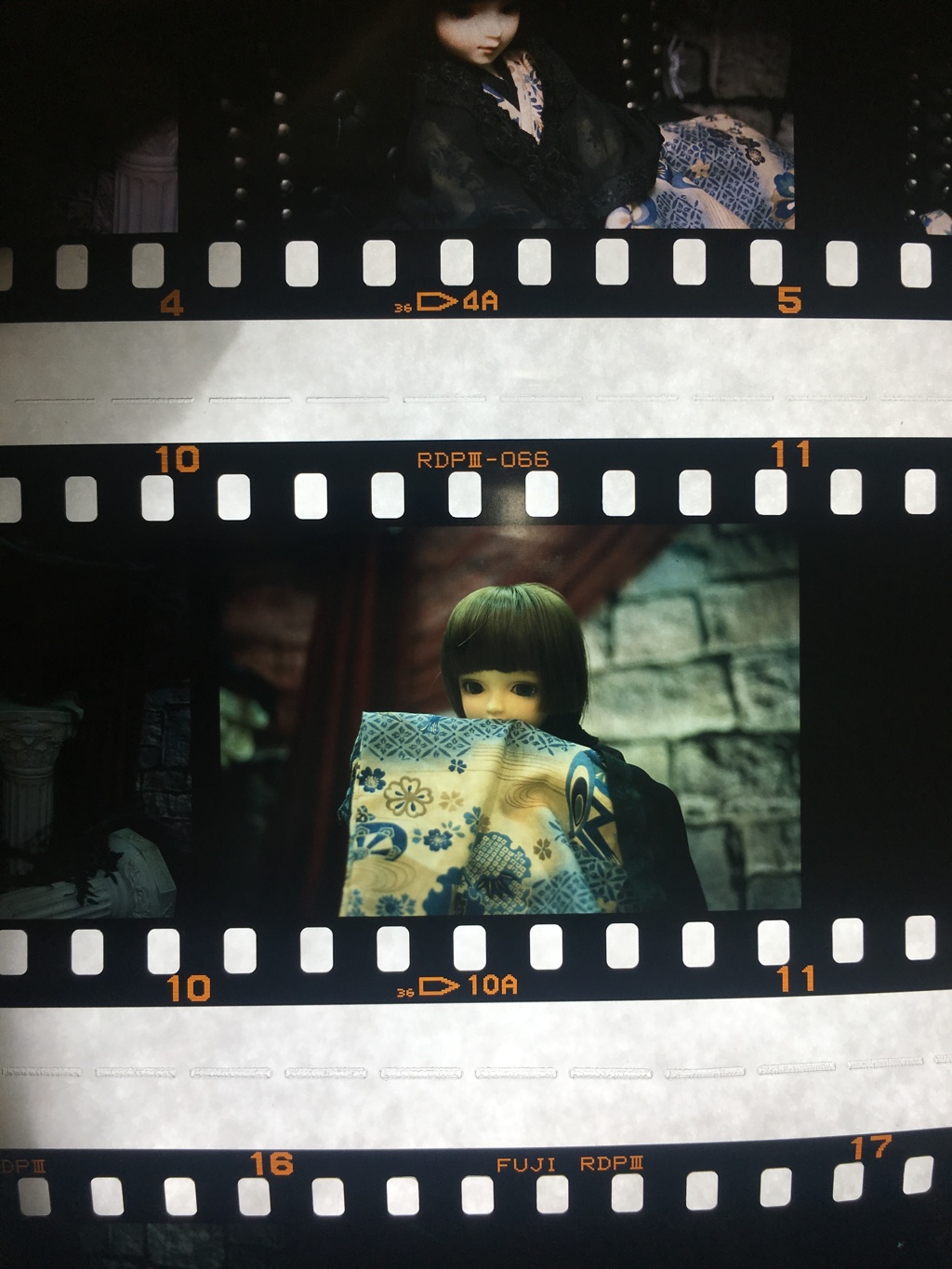 リバーサルフィルム1