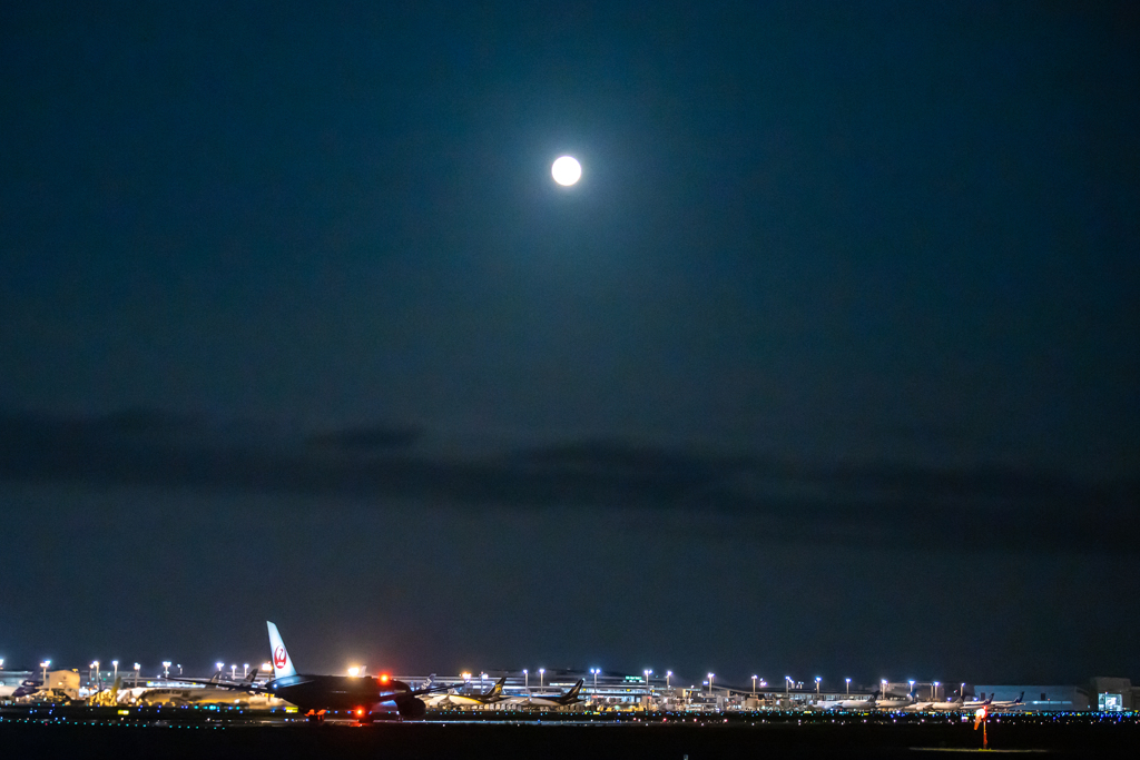 月夜の成田