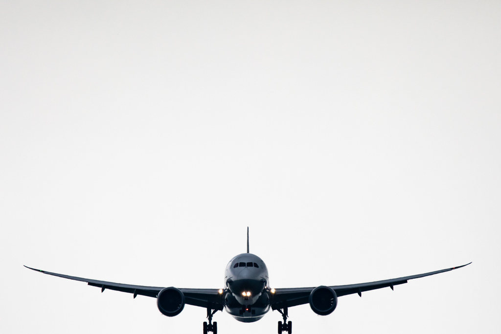 ANA B787