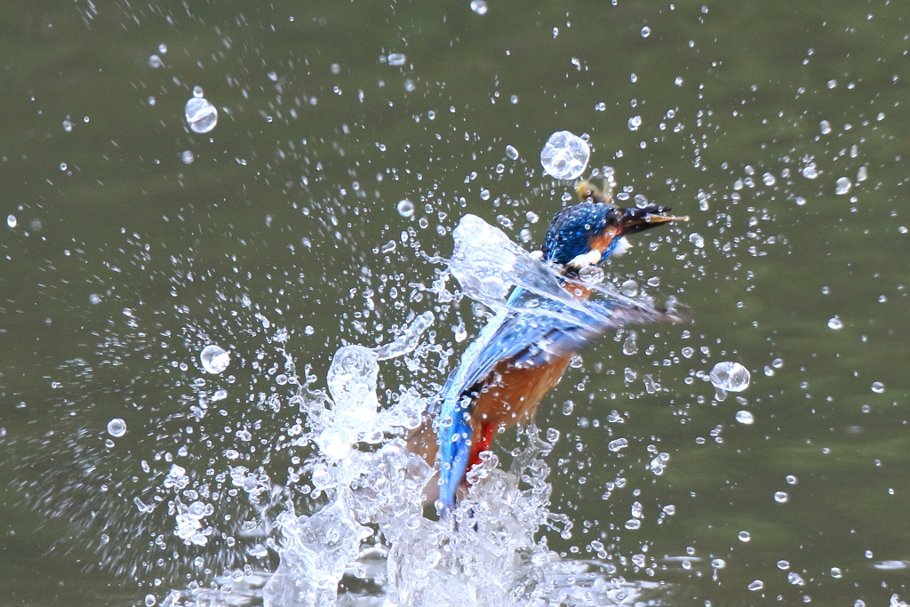 水しぶき多すぎ