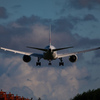 夏の名残の雲とJAL BOEING787
