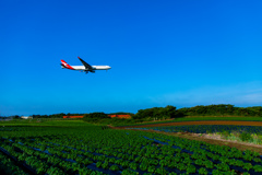 日本の原風景とA330