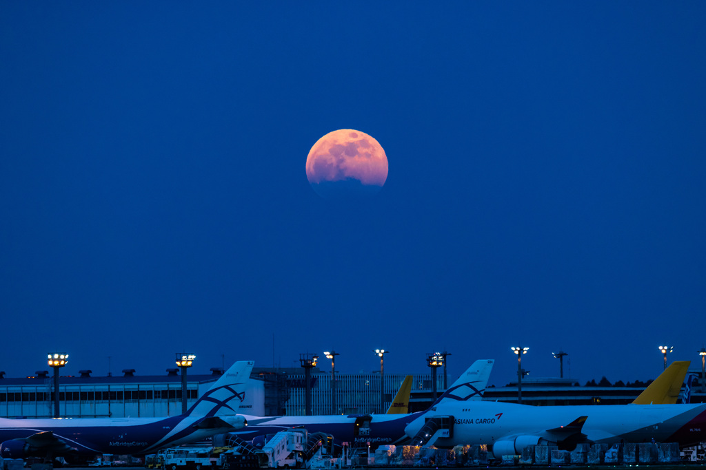 空の共演のはずが...