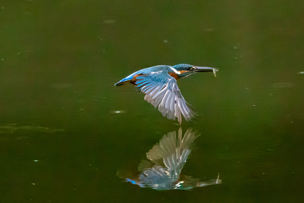 静寂のReflection