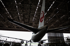 JAL B767