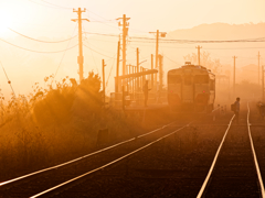 朝霧の小湊鐵道