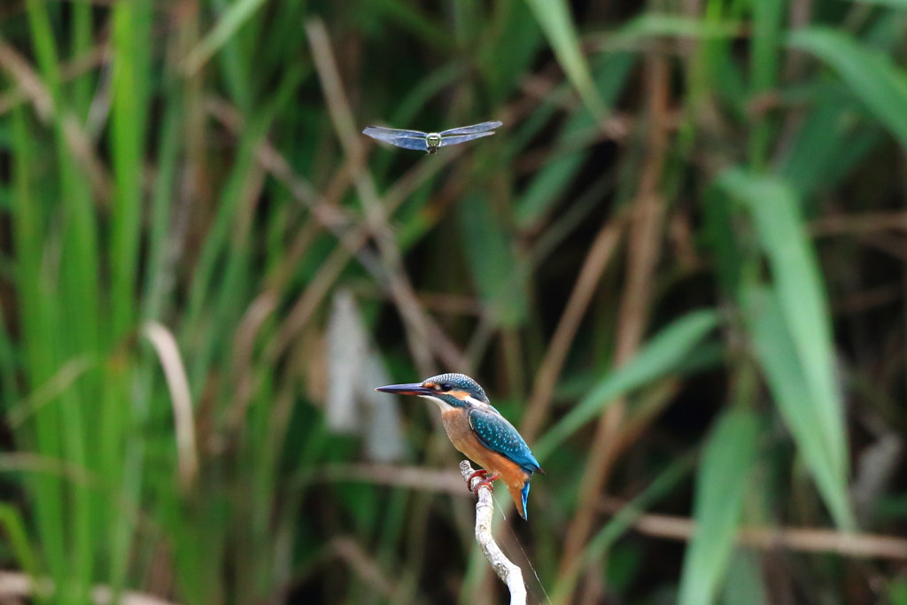 写真撮るの？一緒に撮ってー！