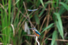 写真撮るの？一緒に撮ってー！