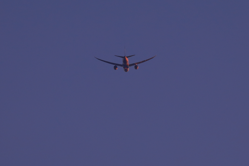 B787、朝日を浴びて早朝の羽田へ
