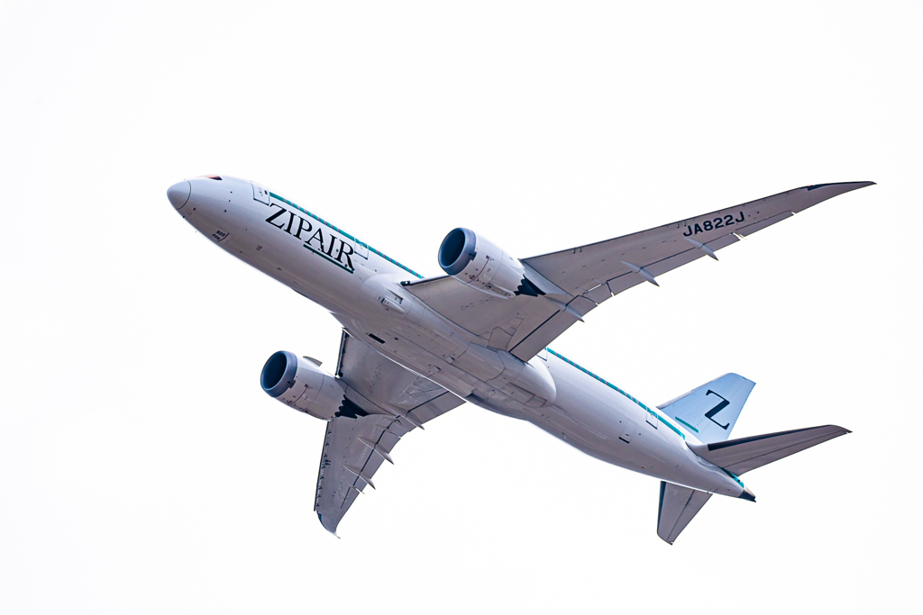 標本（ZIP B787）