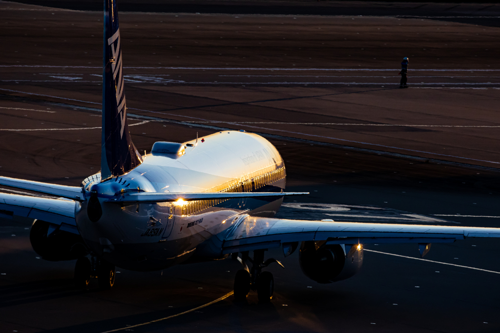 ANA B737 日の出のタキシング