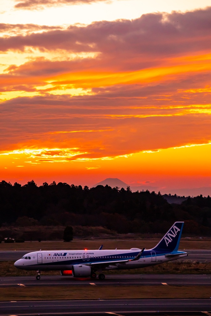 黄昏の富士山とA320
