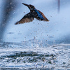 Water screen