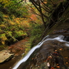 秘境の滝