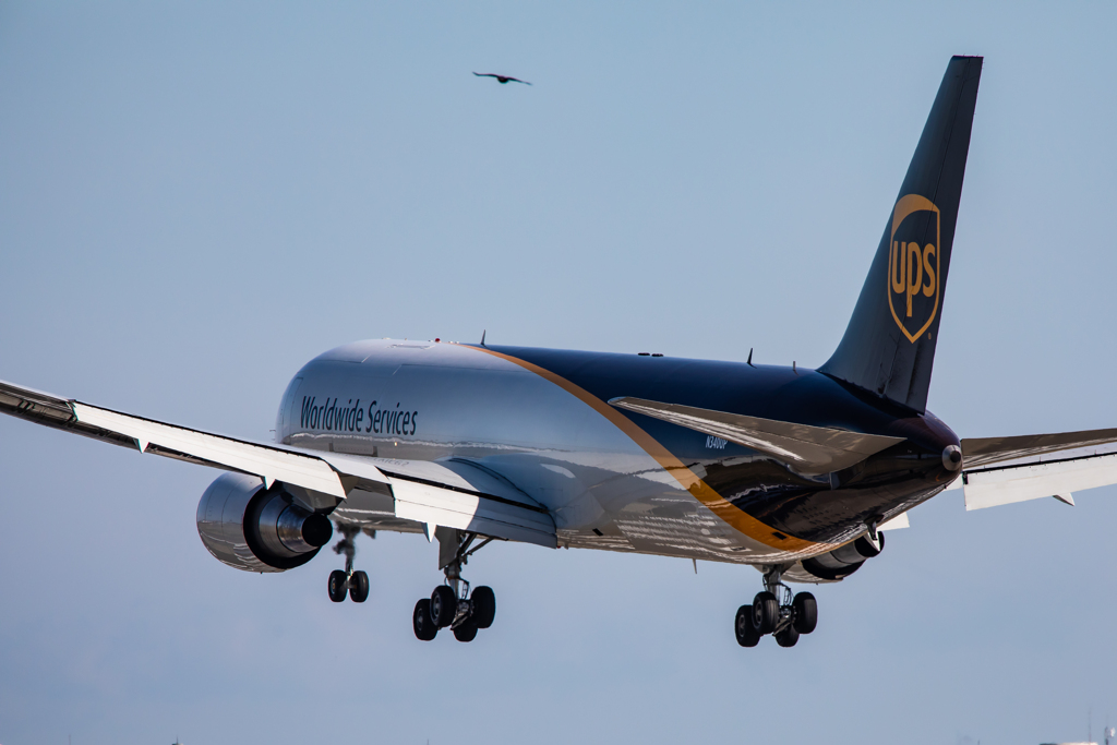 UPS767とサシバのランデブー