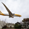 Scoot BOEING787