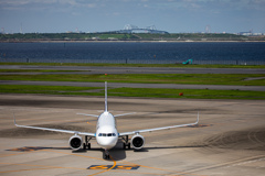 ANA AIRBUS A321とゲートブリッジ