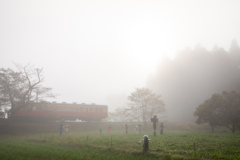深い朝霧を進む小湊鐵道と見送る案山子たち