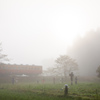 深い朝霧を進む小湊鐵道と見送る案山子たち