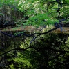 水鏡