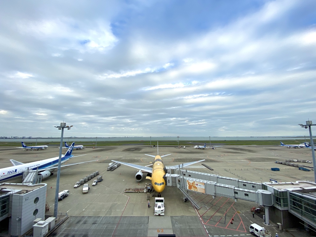 スターウォーズと秋の空