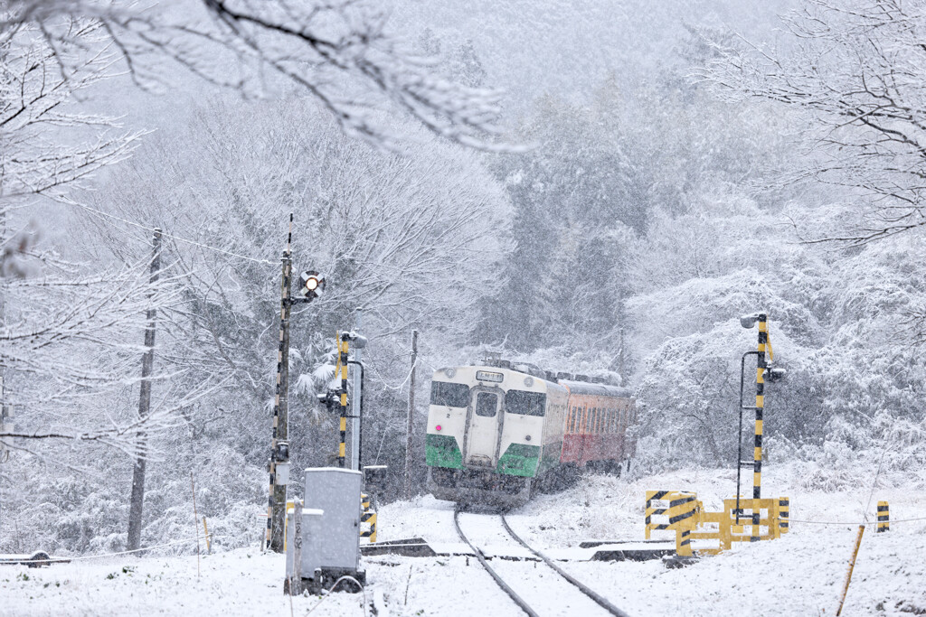 雪の旅路