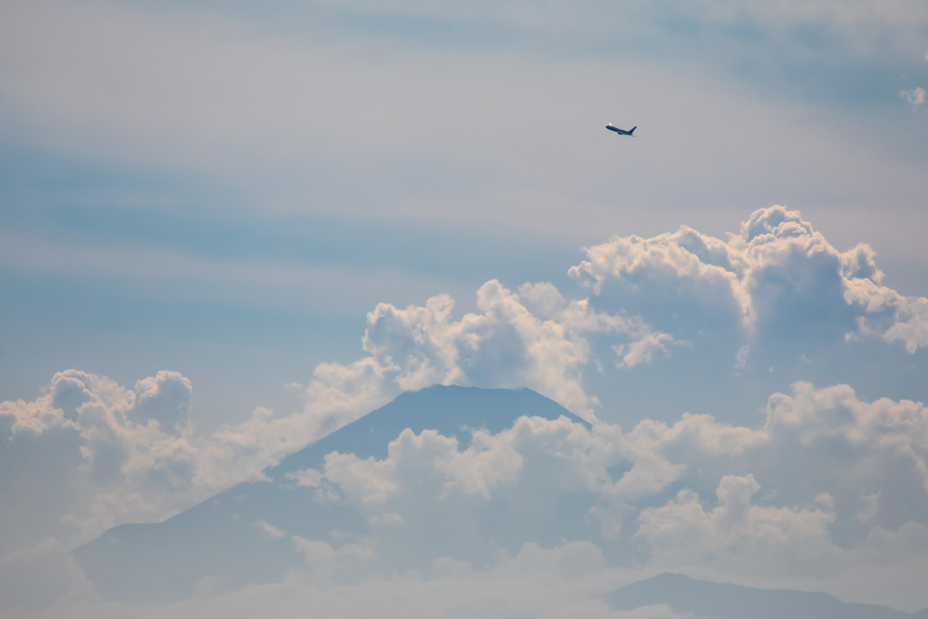 夏雲沸き立つ富士山とANA BOEING787 
