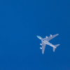 ウミガメ、空を泳ぐ