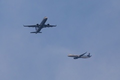 交差する2機のANA AIRBUS A321