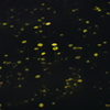 小宇宙
