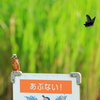 ？？なんか通った？？