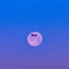 朝日を浴びて木更津基地から飛び立つCH-47Jと満月