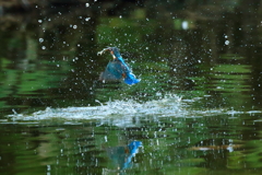 Splash!!!