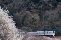 京王線（高尾ー高尾山口）