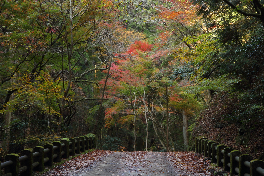 橋の向こう側