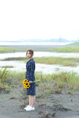 向日葵-01