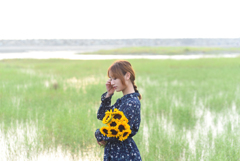 向日葵-02
