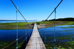 佐呂間湖畔鶴沼のアッケシソウ群落の吊橋