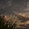 夕焼け