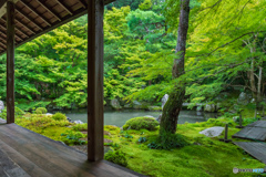 蓮華寺/京都のお寺3